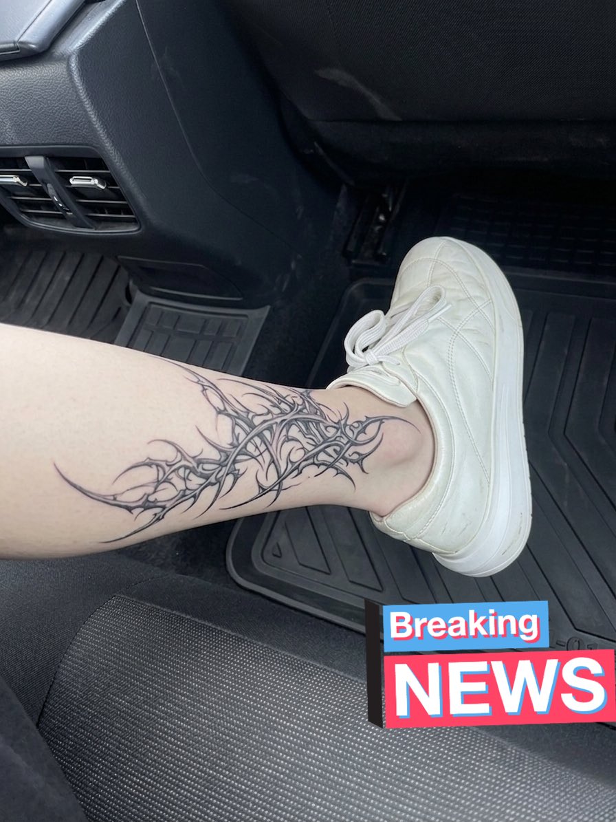 cibilibob tweet media