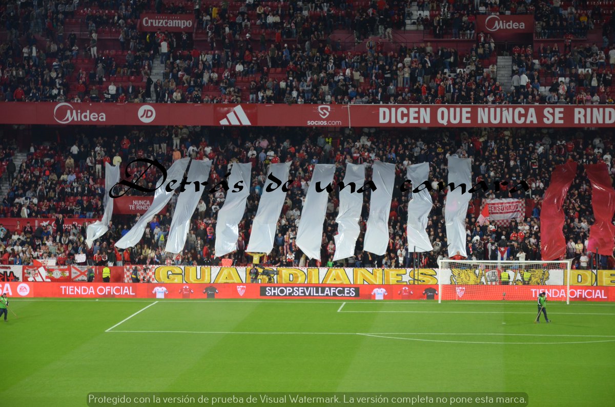 LA GRADA DETRÁS DE UNA CÁMARA tweet media