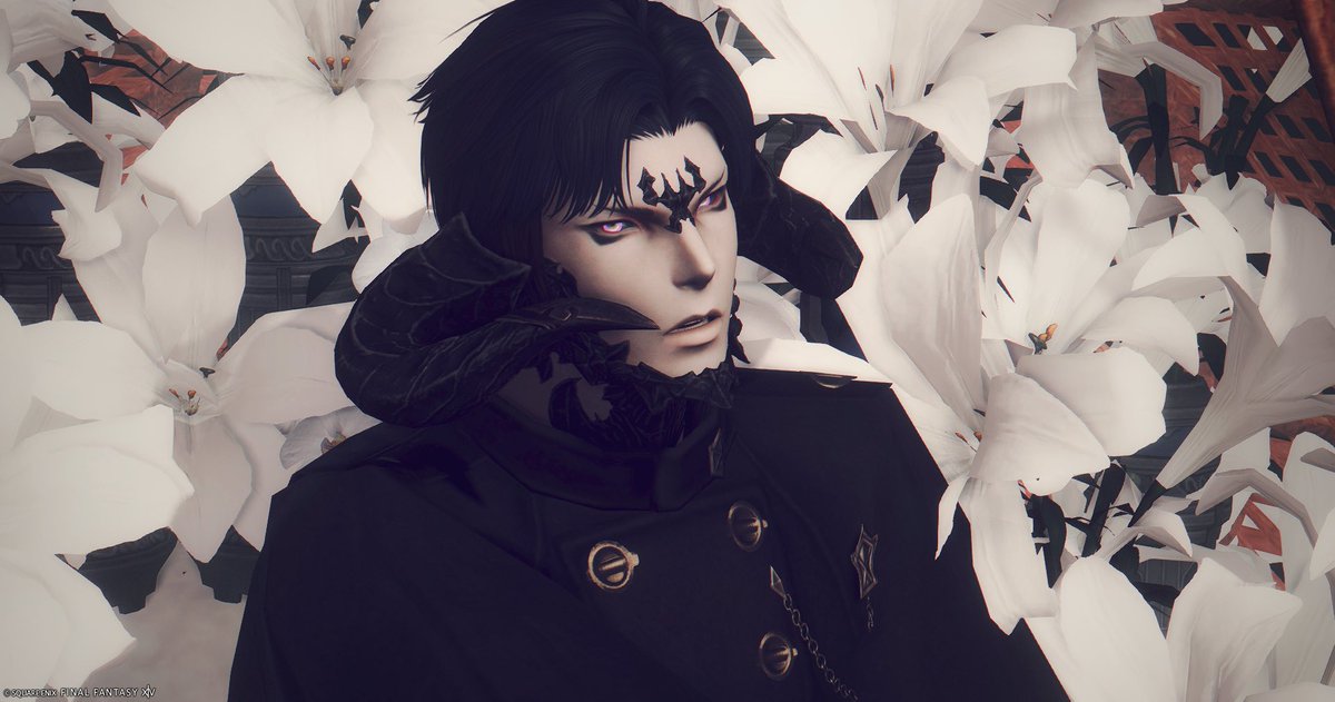 Hydrangea tweet media