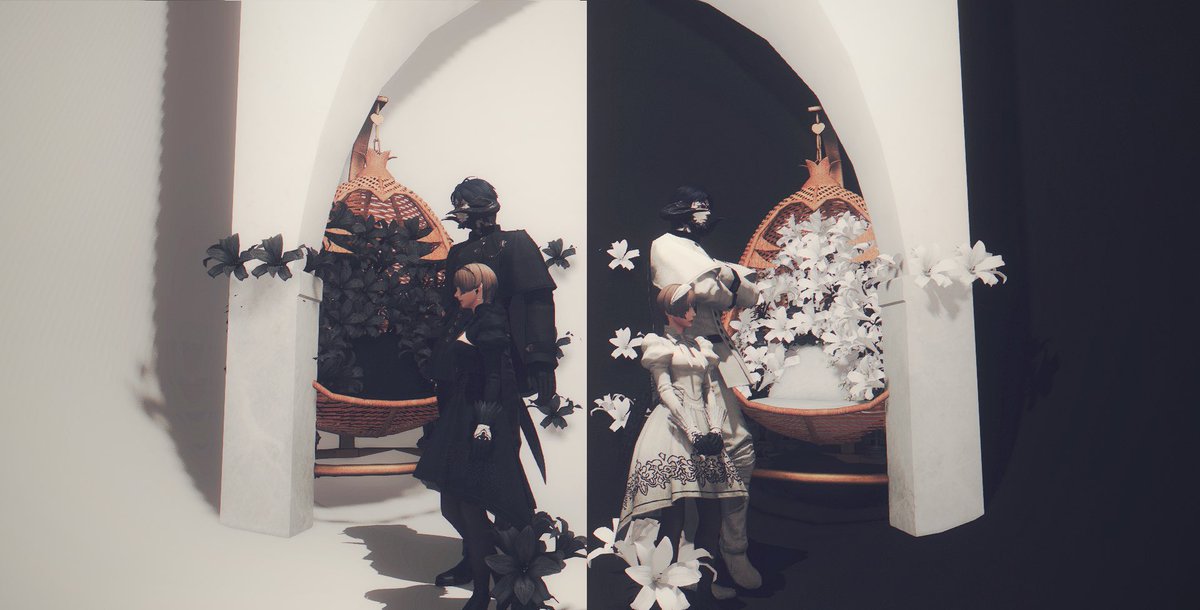 Hydrangea tweet media