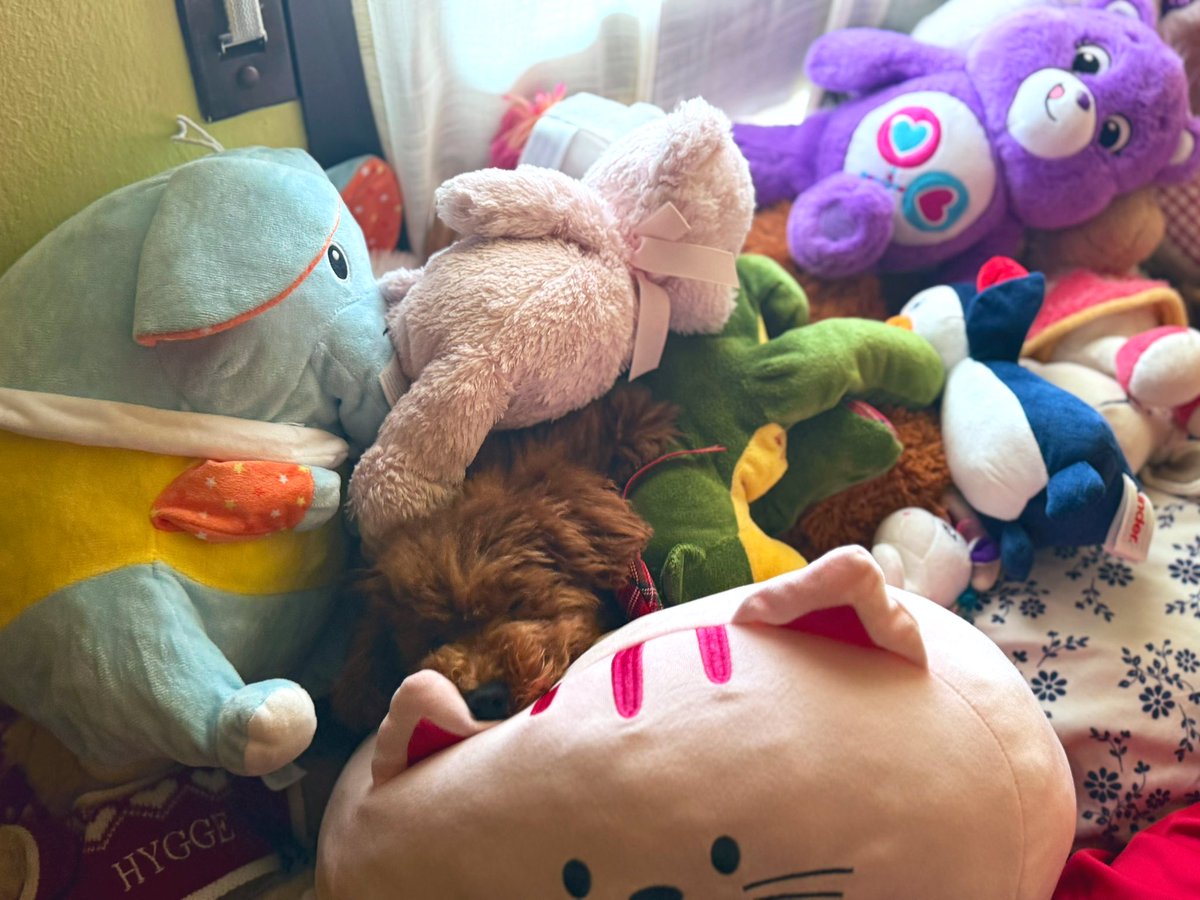 Montse Forga tweet media