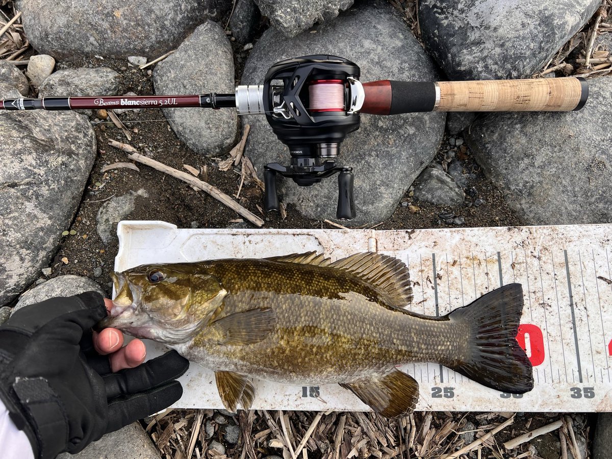 shift_down tweet media