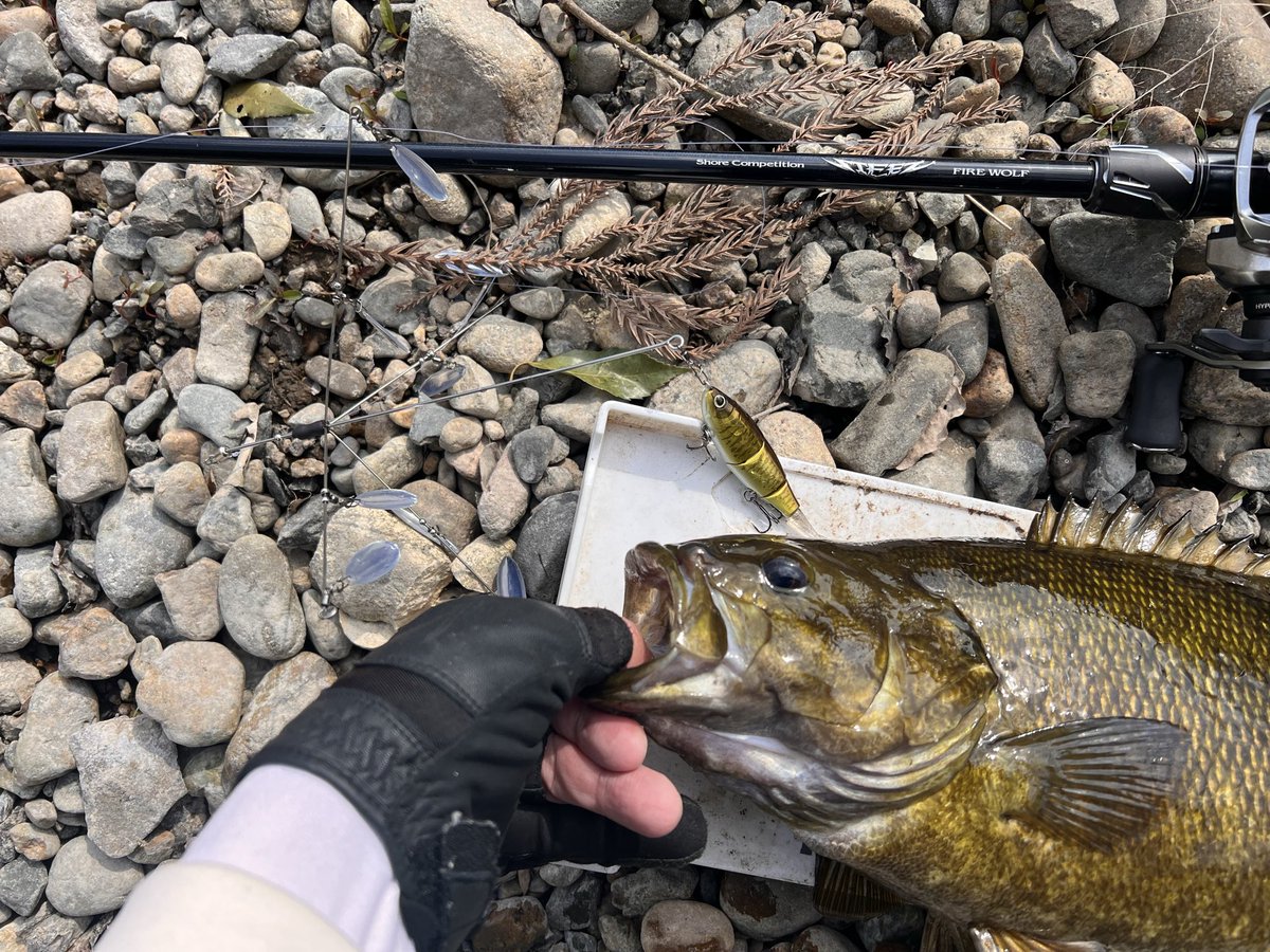 shift_down tweet media