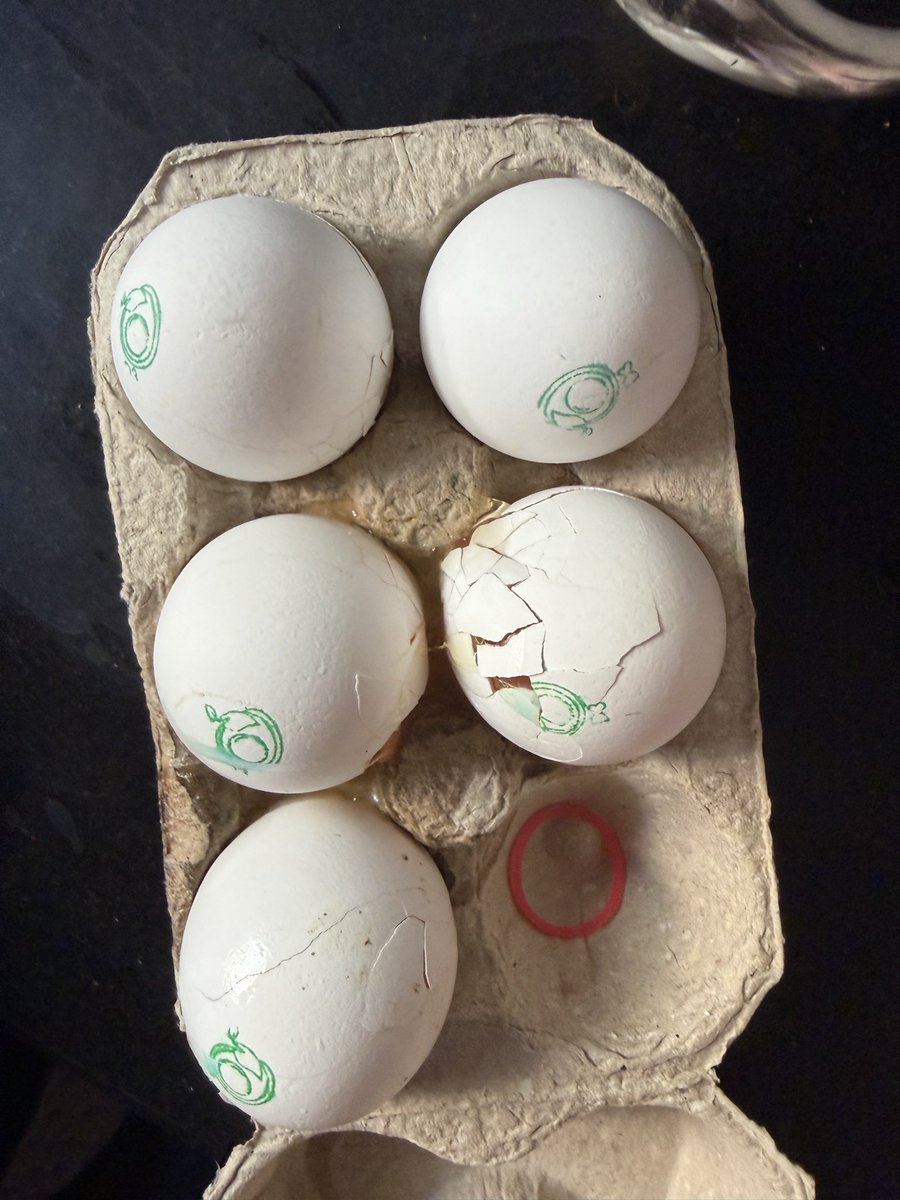 _anant_kr's tweet photo. @amazonnow @amazonIN I ordered Egg yesterday and most of the eggs are broken. Raised issue but didn’t get any support. 
Order ID: #407-2601462-8837146

Such a bad service not expected from Amazon. https://t.co/Hzi36bO1DG