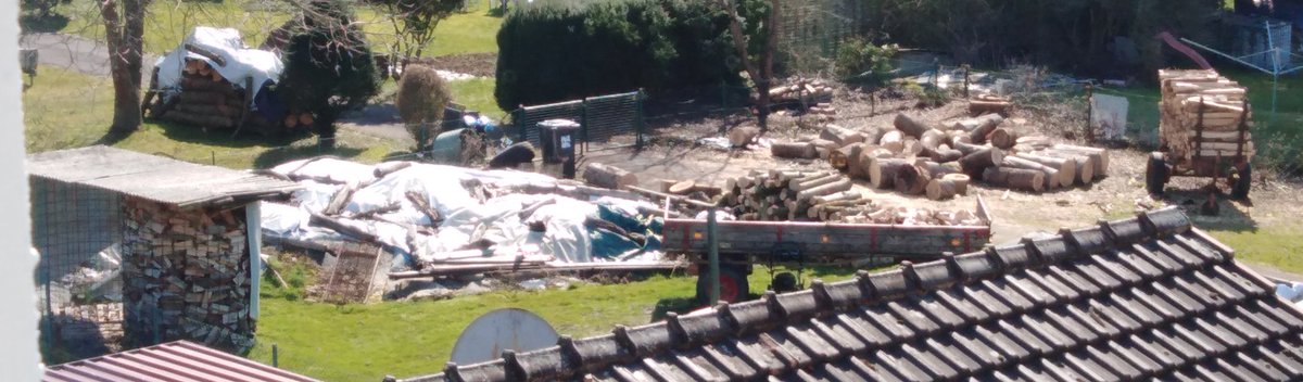 Sandra Rohde tweet media