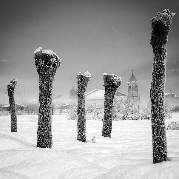 Art Limited tweet media