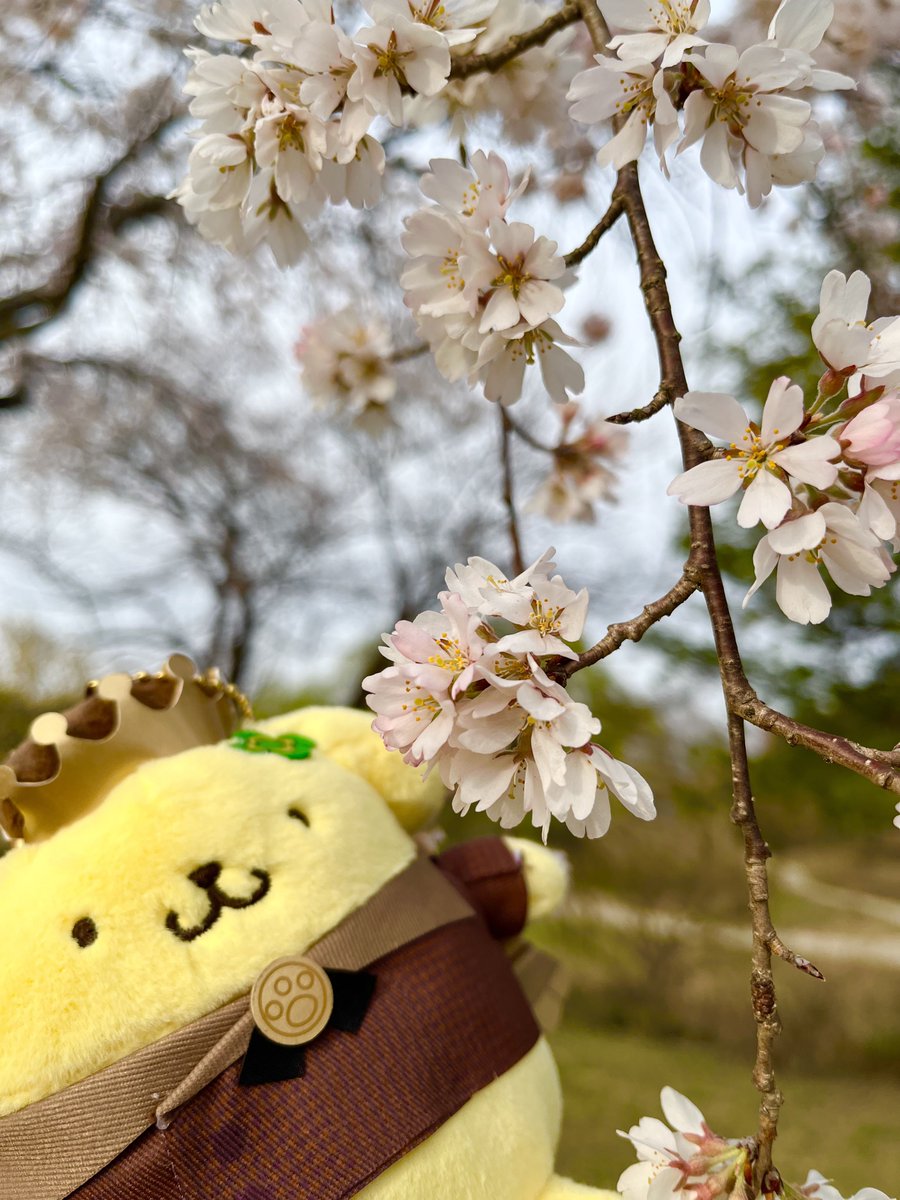 ＊ひなの＊ tweet media