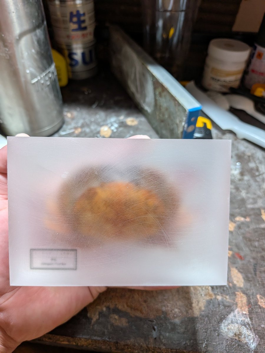 リク（甲殻標本） tweet media