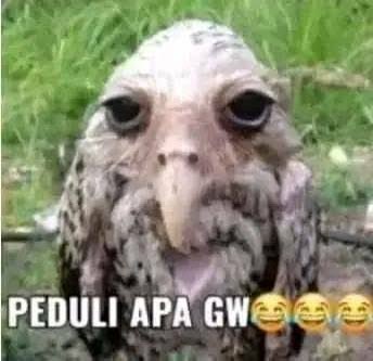 Daphney. tweet media