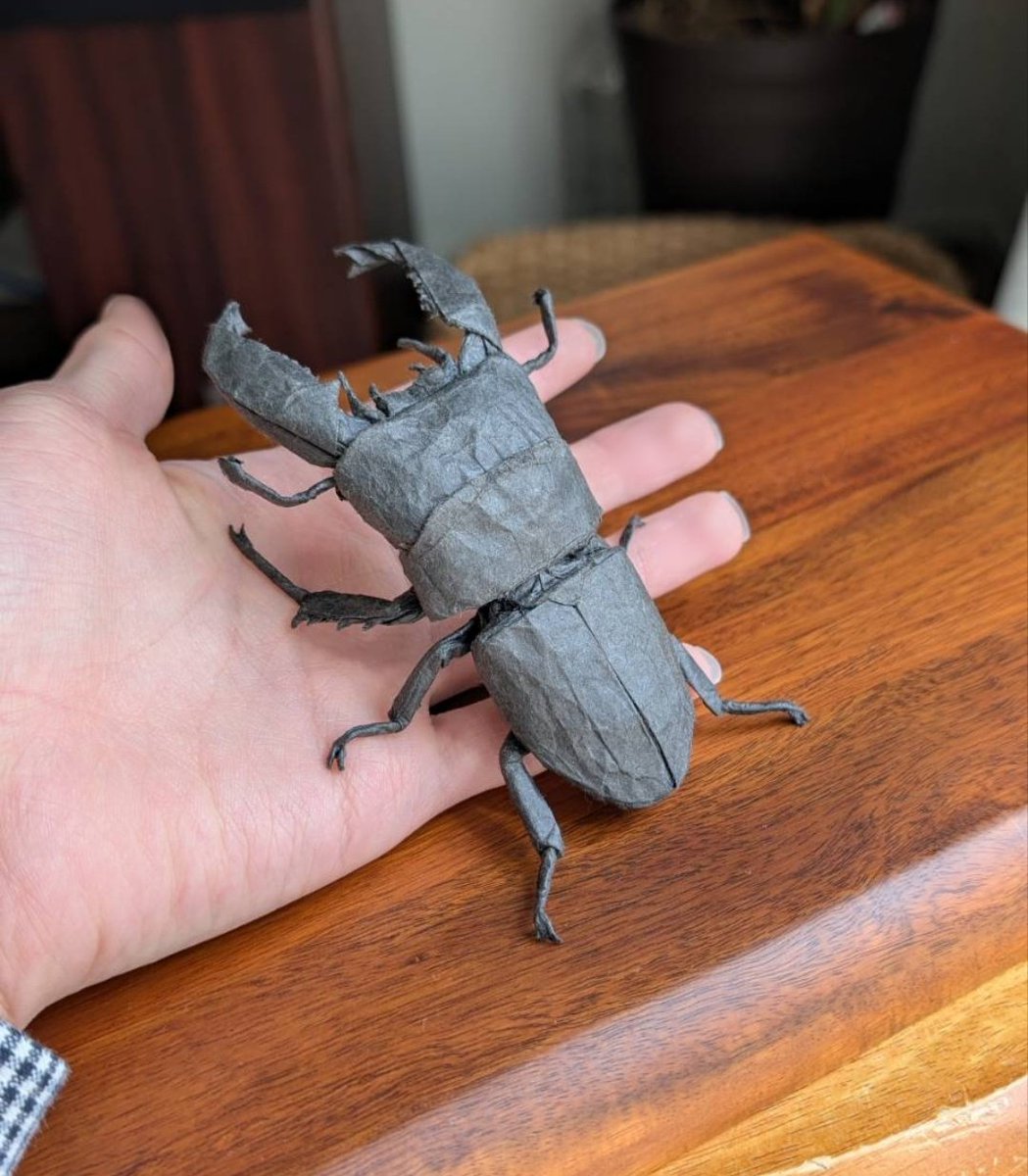 kassakasa19's tweet image. スマトラオオヒラタクワガタ/Dorcus titanus yasuokai
創作:634さん(@634origami )
薄葉紙35cm

立体化が難しくも楽しかったです！
jtouの展覧会に持っていきます
#おりがみ #折り紙 #origami