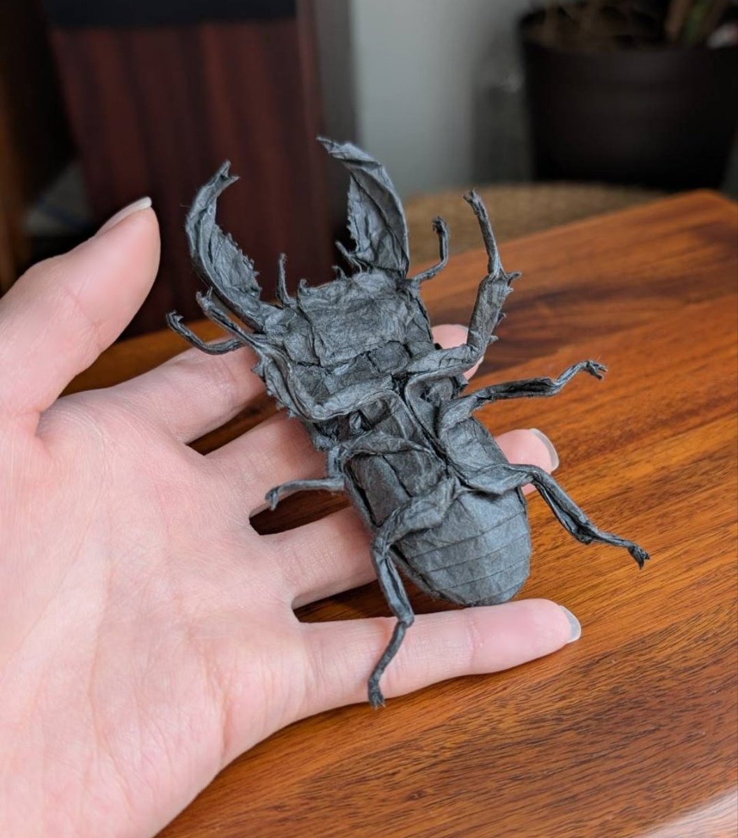 kassakasa19's tweet image. スマトラオオヒラタクワガタ/Dorcus titanus yasuokai
創作:634さん(@634origami )
薄葉紙35cm

立体化が難しくも楽しかったです！
jtouの展覧会に持っていきます
#おりがみ #折り紙 #origami