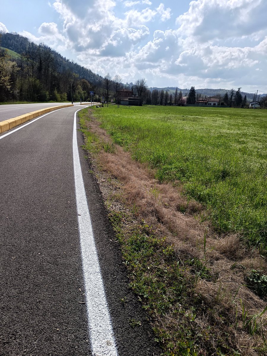 Gianmarco Pezzini tweet media