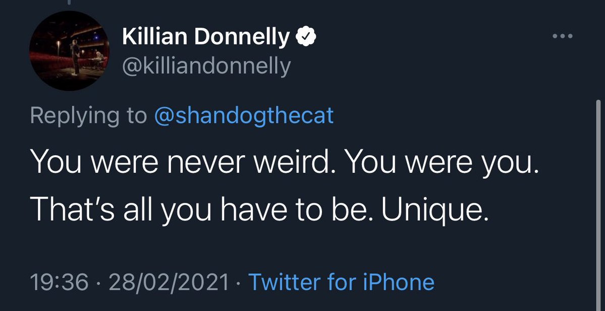 shannon ♡ˎˊ˗ tweet media