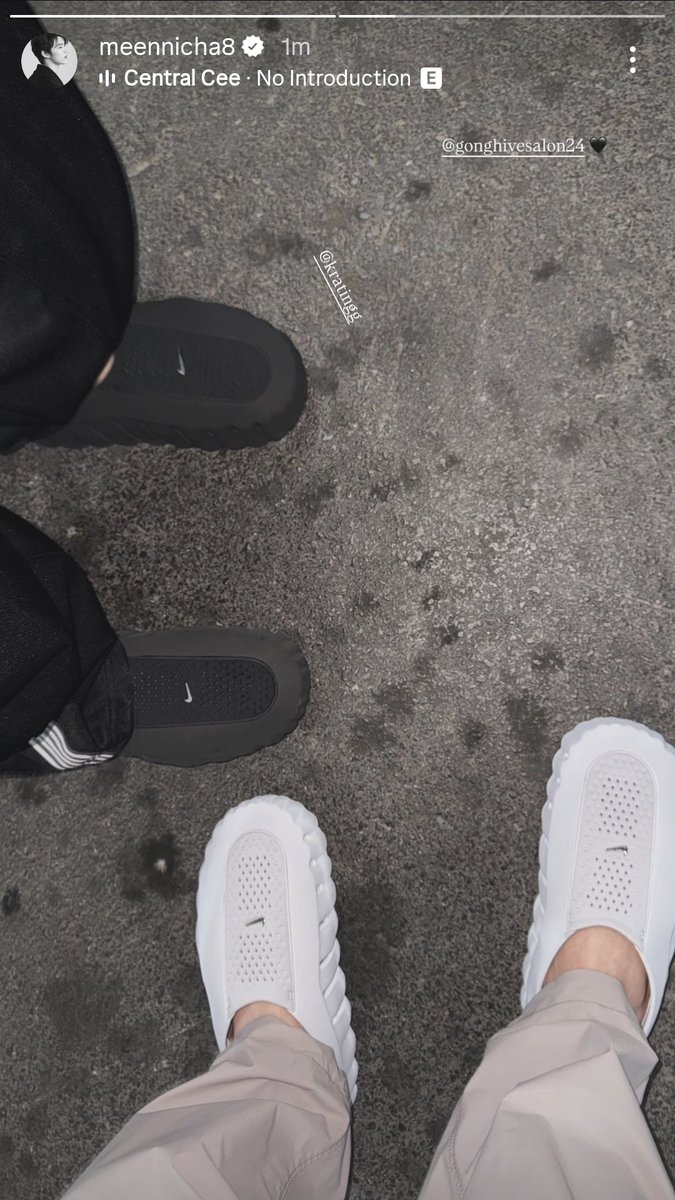 tata 🦩☘️ tweet media