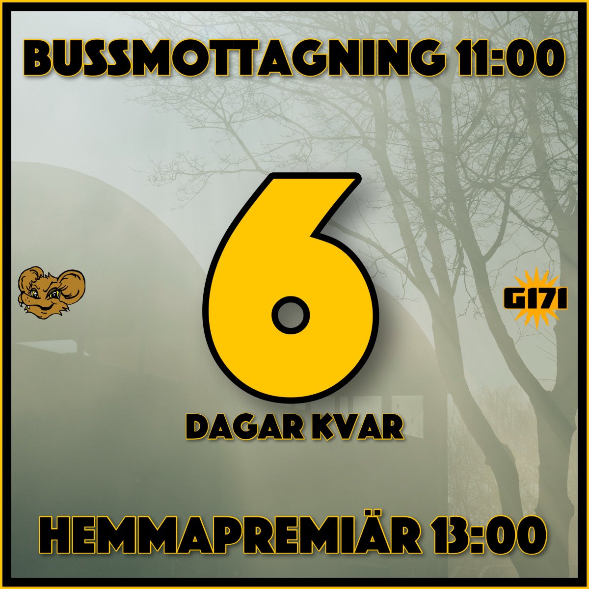 Black Ladies tweet media