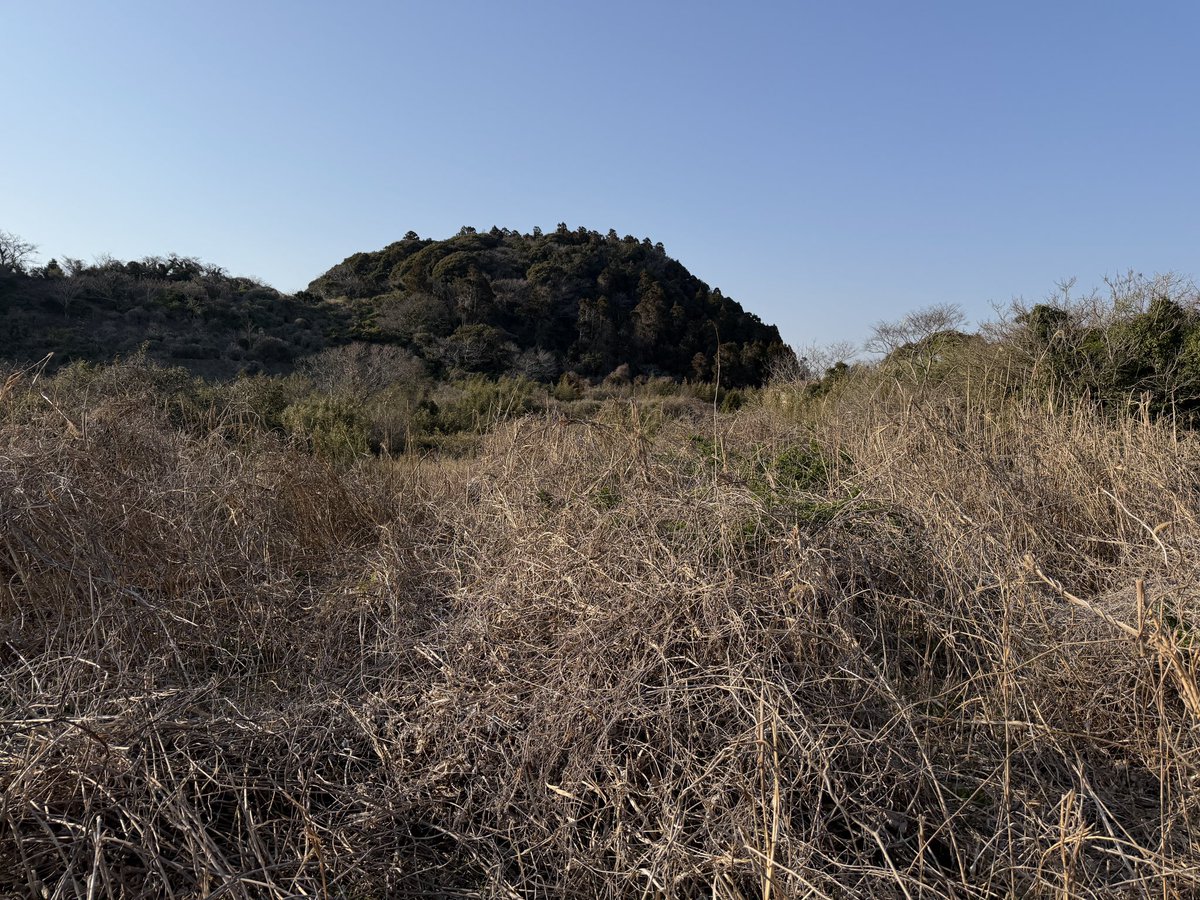 ホワイトベース公式　バイク tweet media