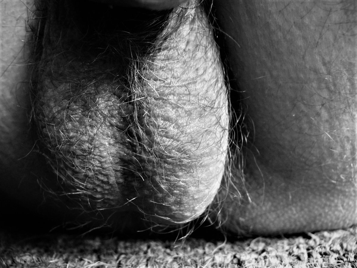 Antinomian tweet media