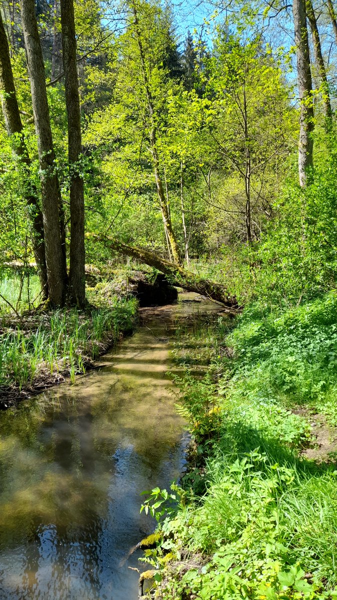 r/markiplier tweet media