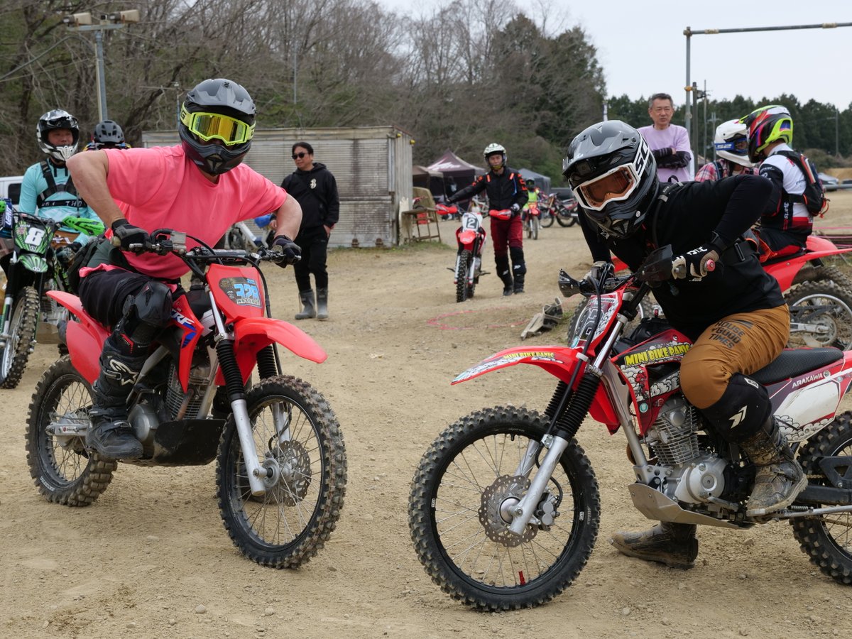 しょ〜じき tweet media