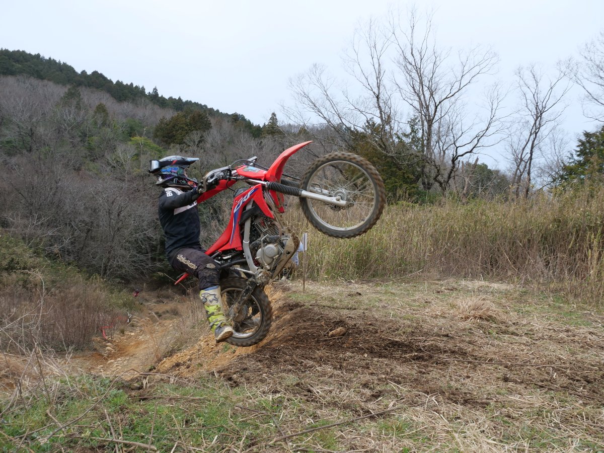 しょ〜じき tweet media