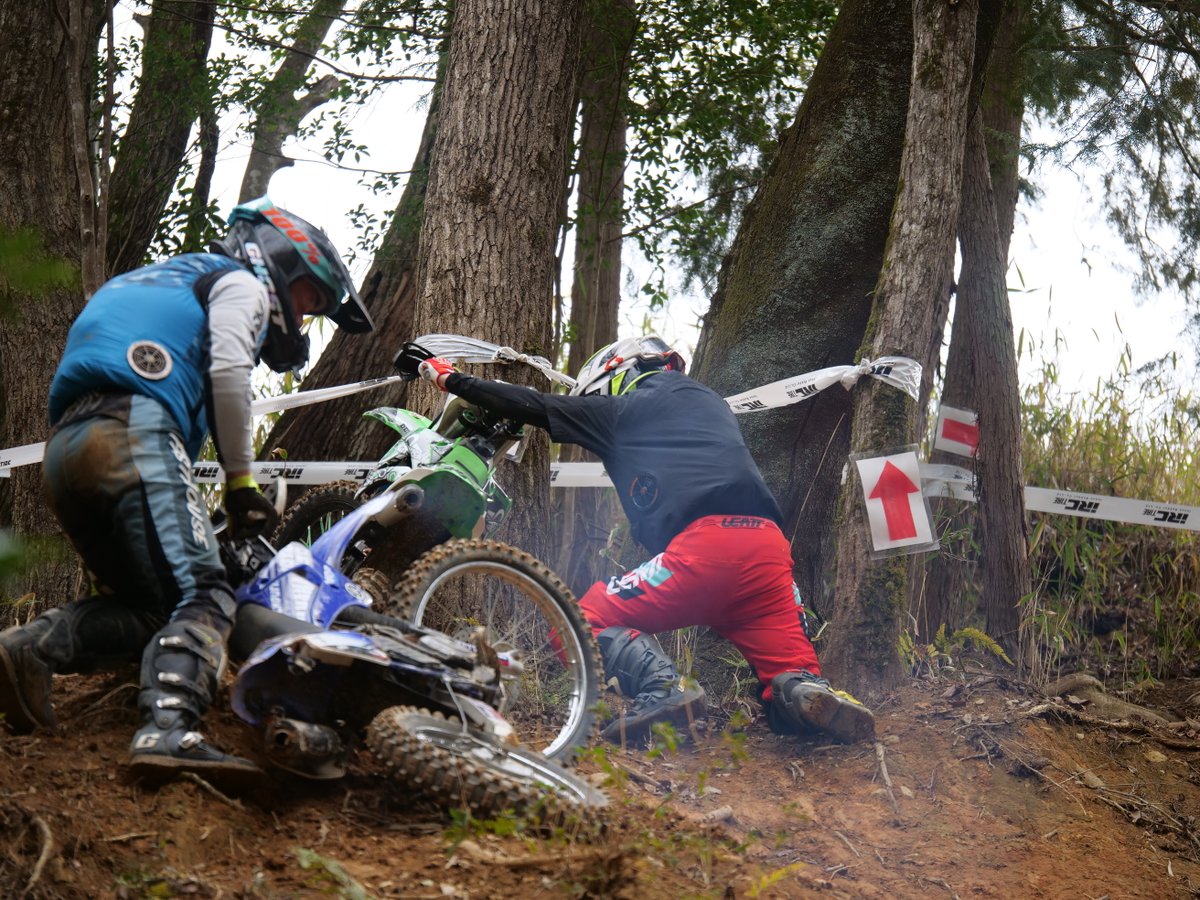 しょ〜じき tweet media