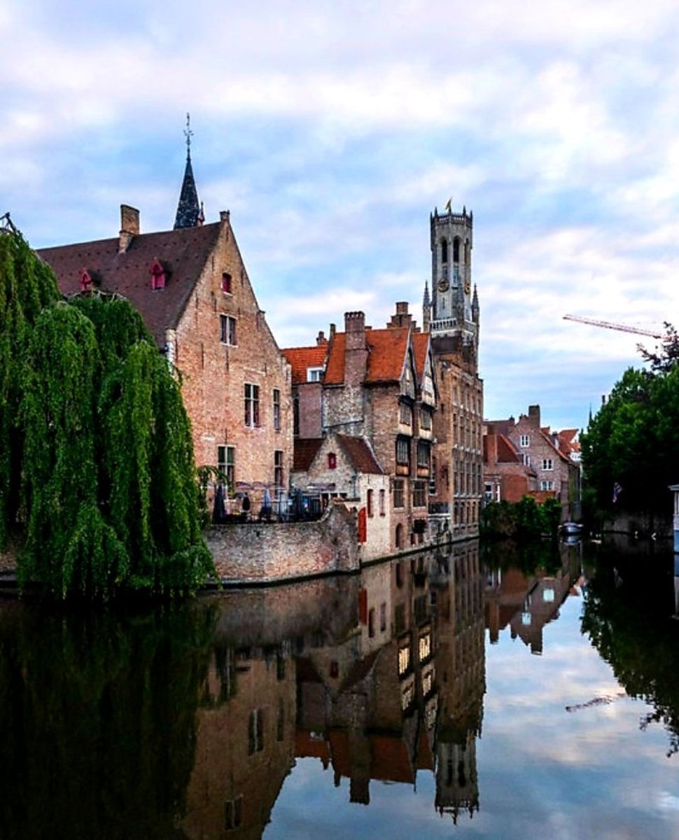 Christian Dellen tweet media