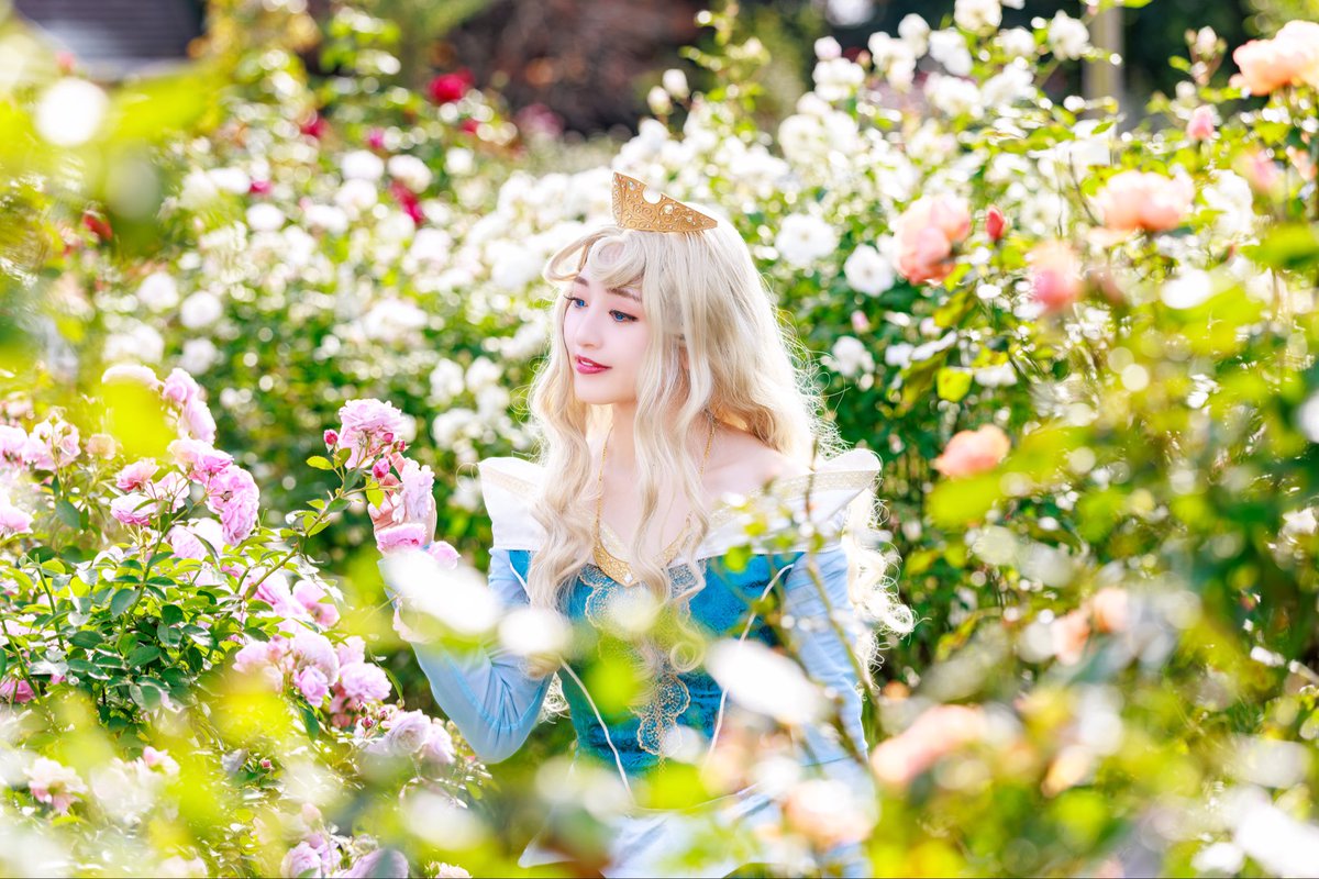 もちこ tweet media