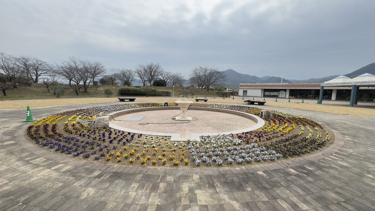 はれコス tweet media