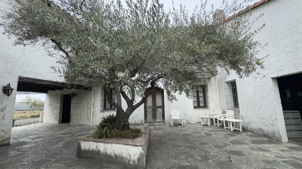 はれコス tweet media