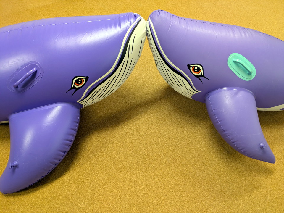 Floatie Popper - once tweet media