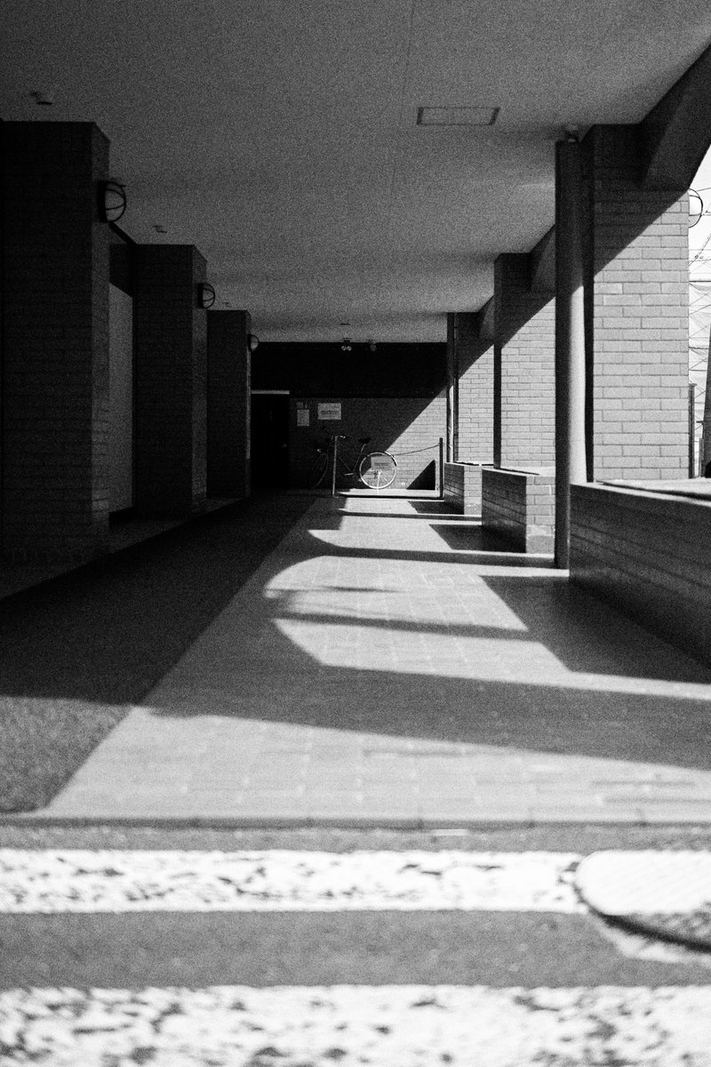 kowloonsugar's tweet photo. 散歩日和。#ストリートスナップ #モノクローム #ニコン #フィルムグレイン #散歩 #nikon #nikonzf #streetphotography https://t.co/mhe9ghKqS4