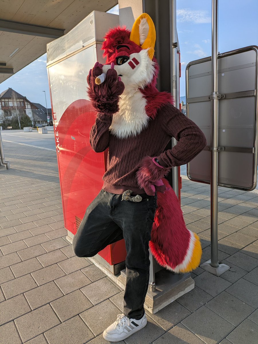 Lolef 🇨🇭🔜 Awoostria tweet media