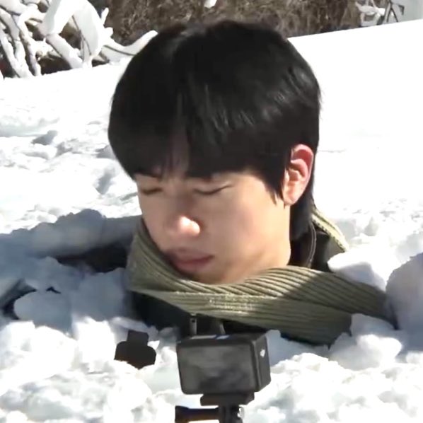 sealjin bot tweet media