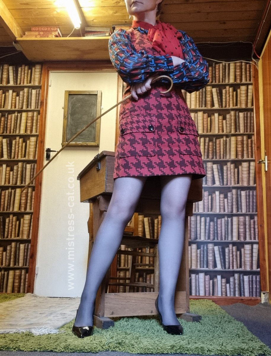 Mistress Cat tweet media