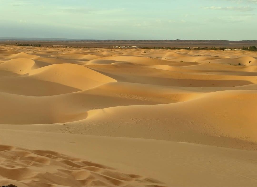 Nick Ryan tweet media