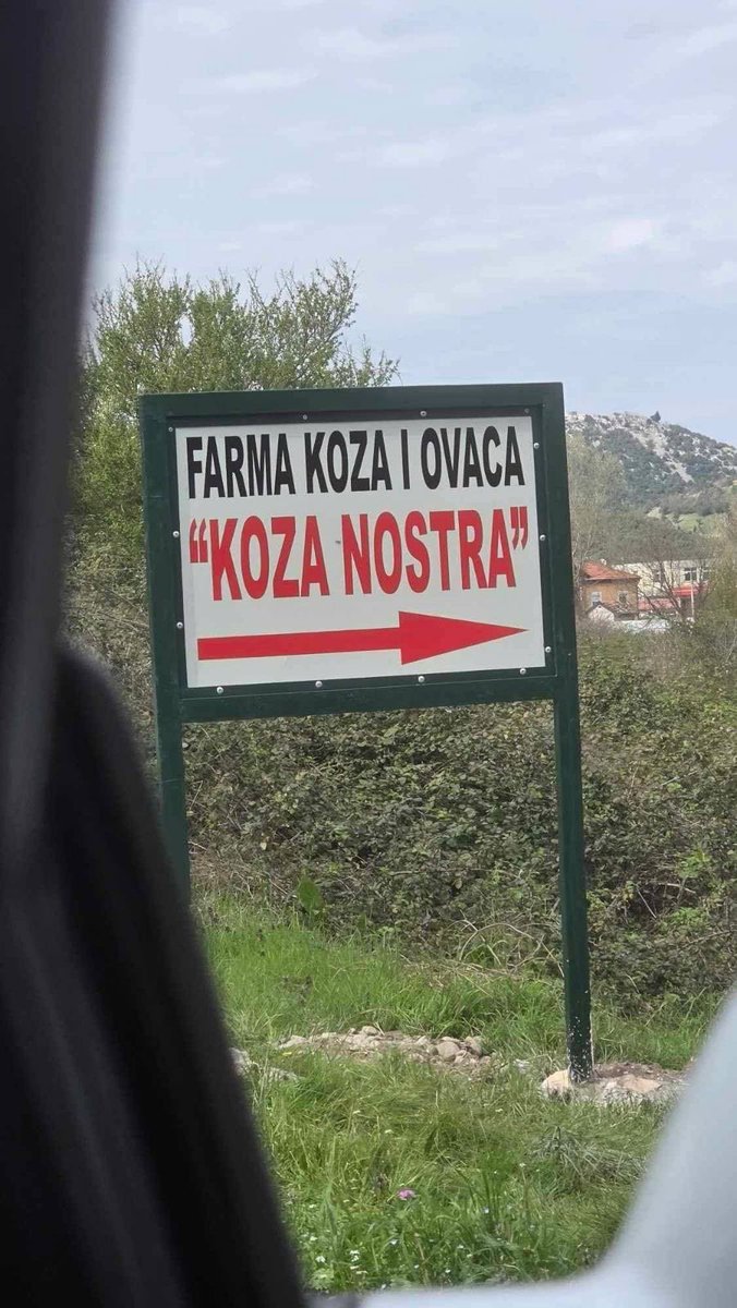 Vanzemoljac Inc. tweet media