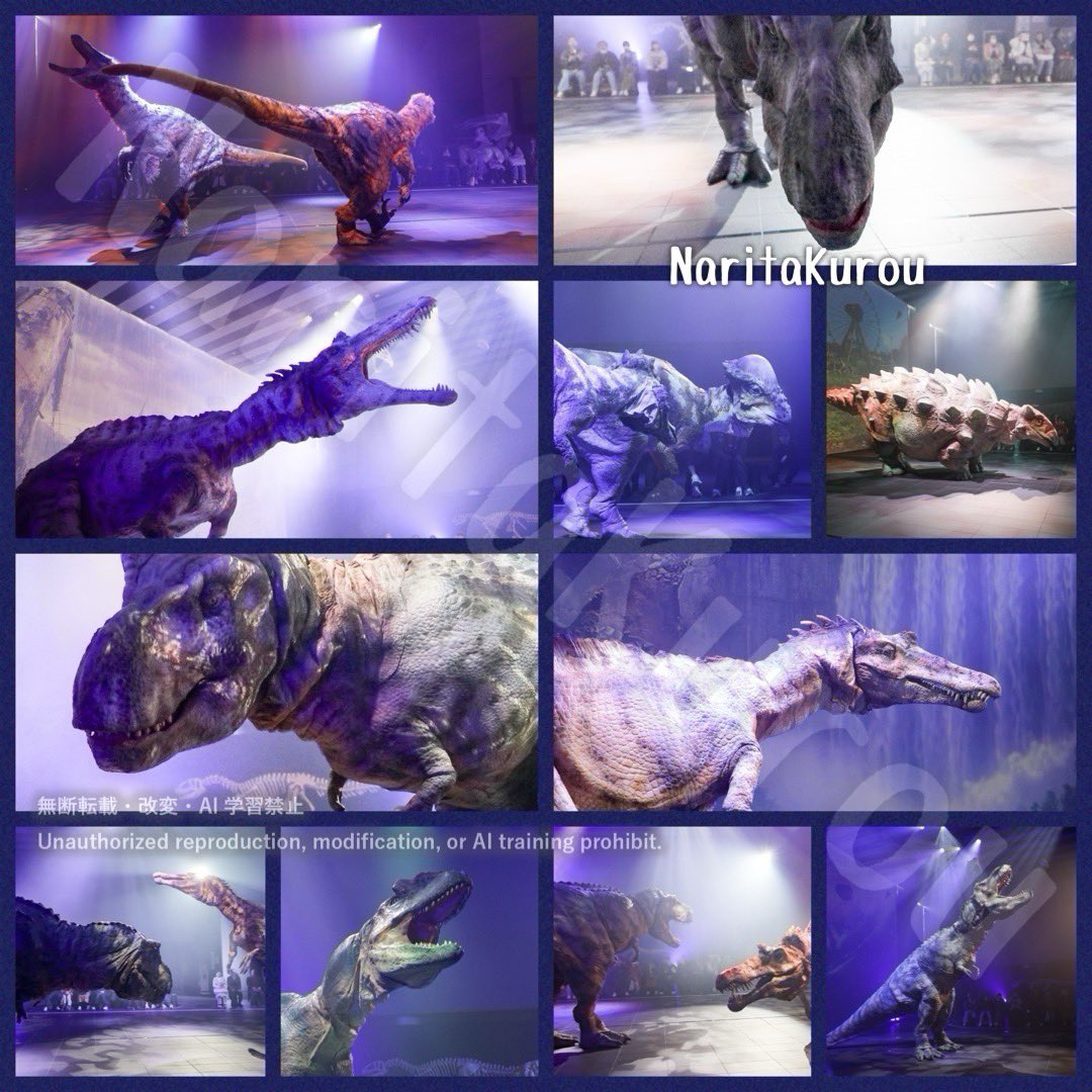 初音屋 成田 tweet media