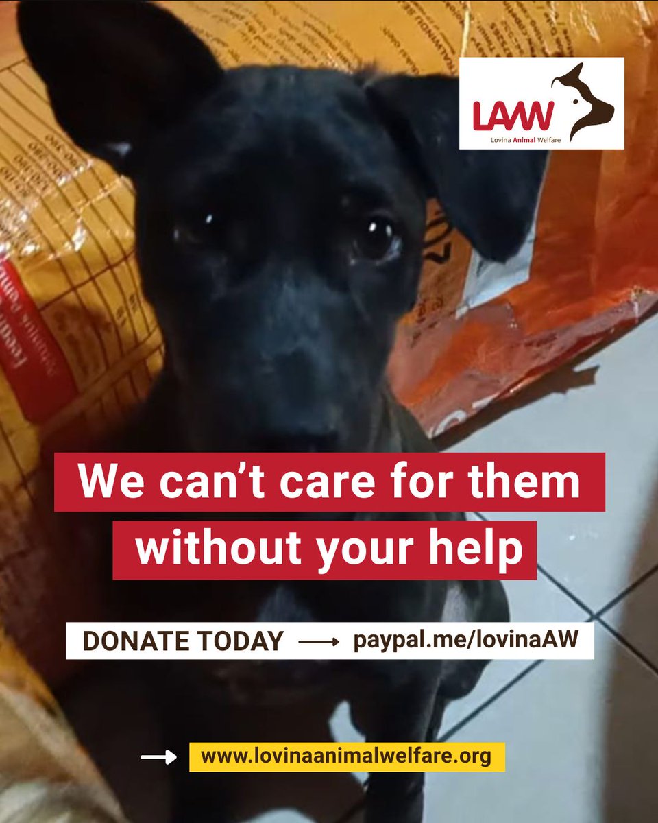 Lovina Animal Welfare tweet media