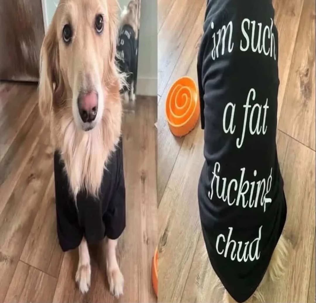 oscar 😵‍💫 tweet media