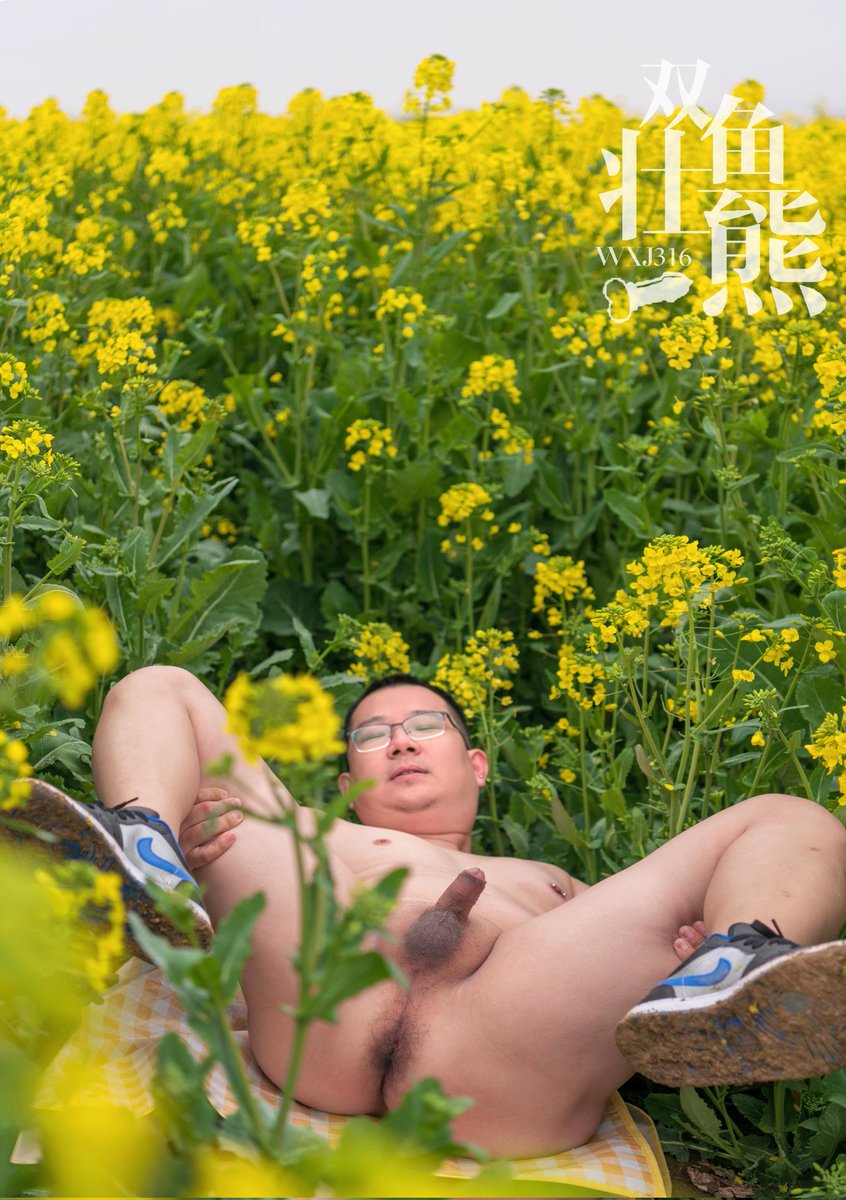 双鱼壮熊 tweet media