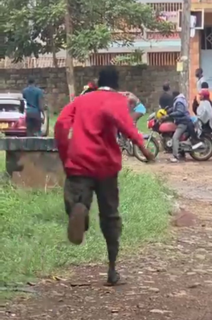 Kodak mwitu tweet media