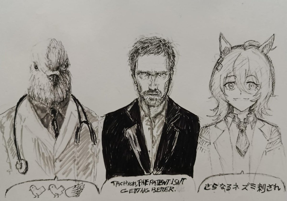 Stone Cat tweet media