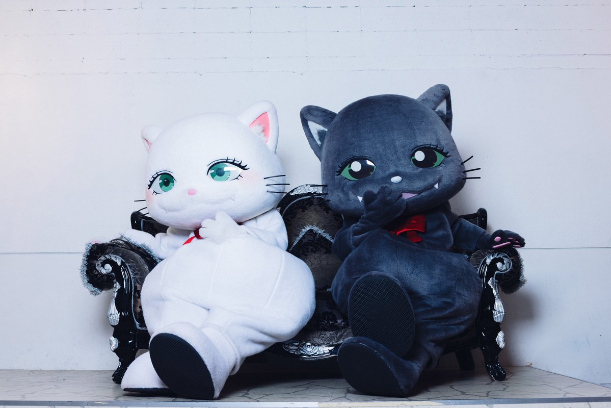 ぶいにゃす😺🎀🍓 tweet media