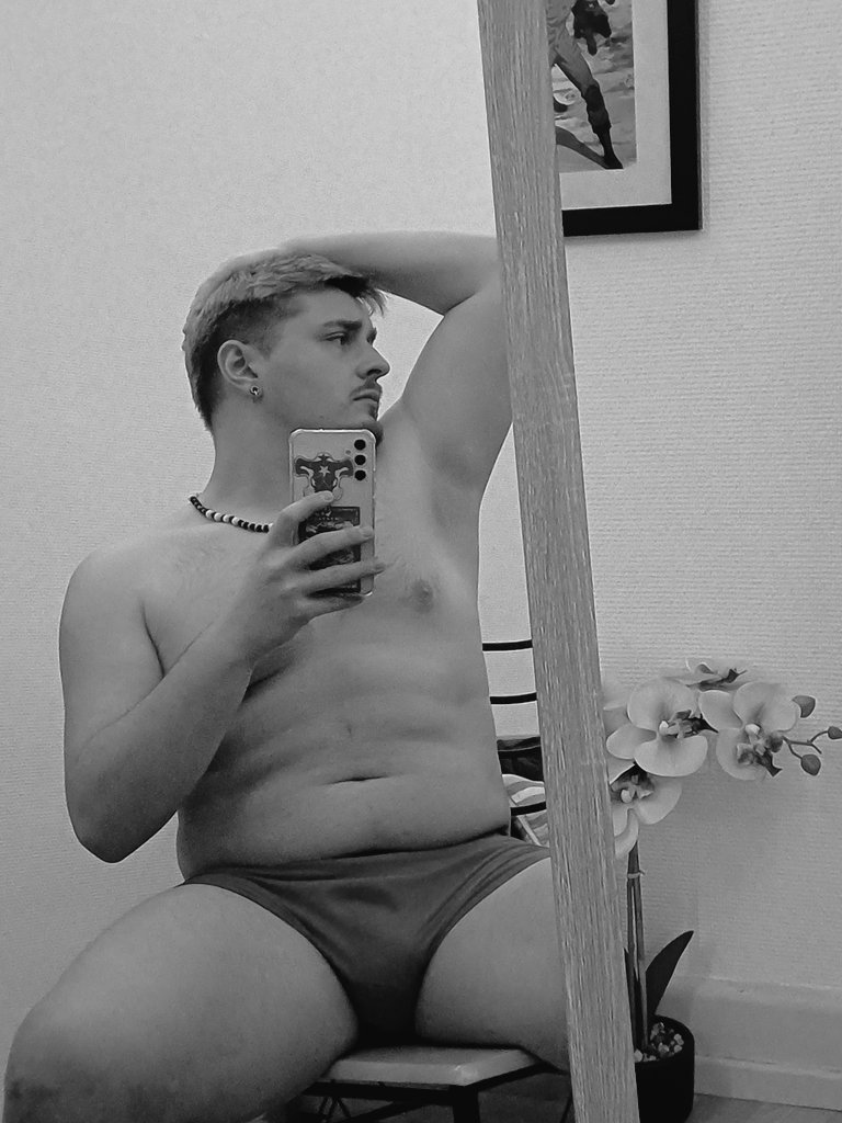 Fou Populaire 🐮🐻🏳️🌈 tweet media