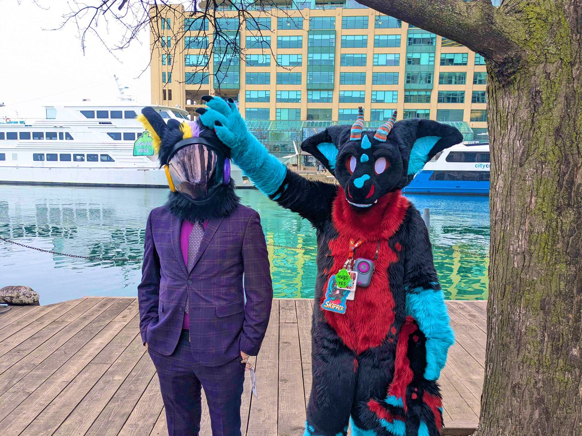 Diamond 🦨 tweet media