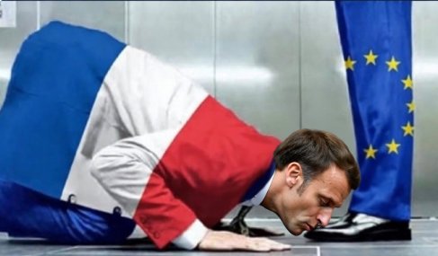 Noëlie la Lupa tweet media