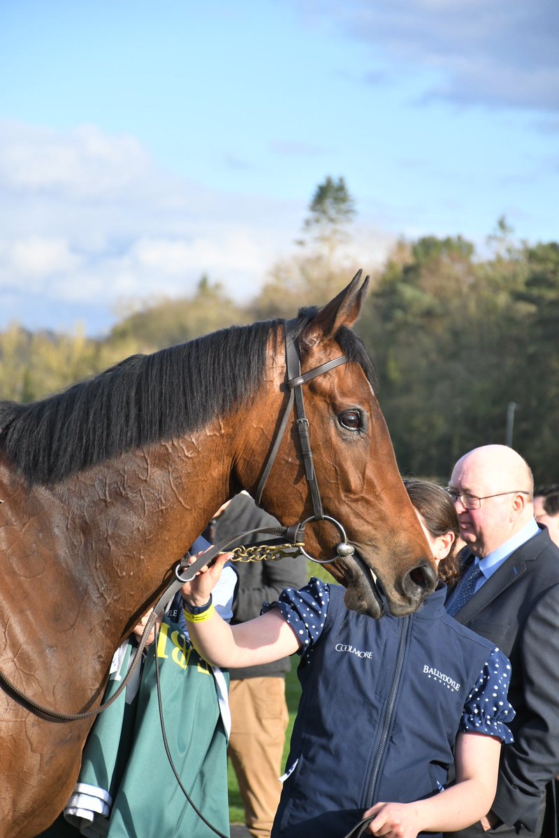 PCequinephotography tweet media