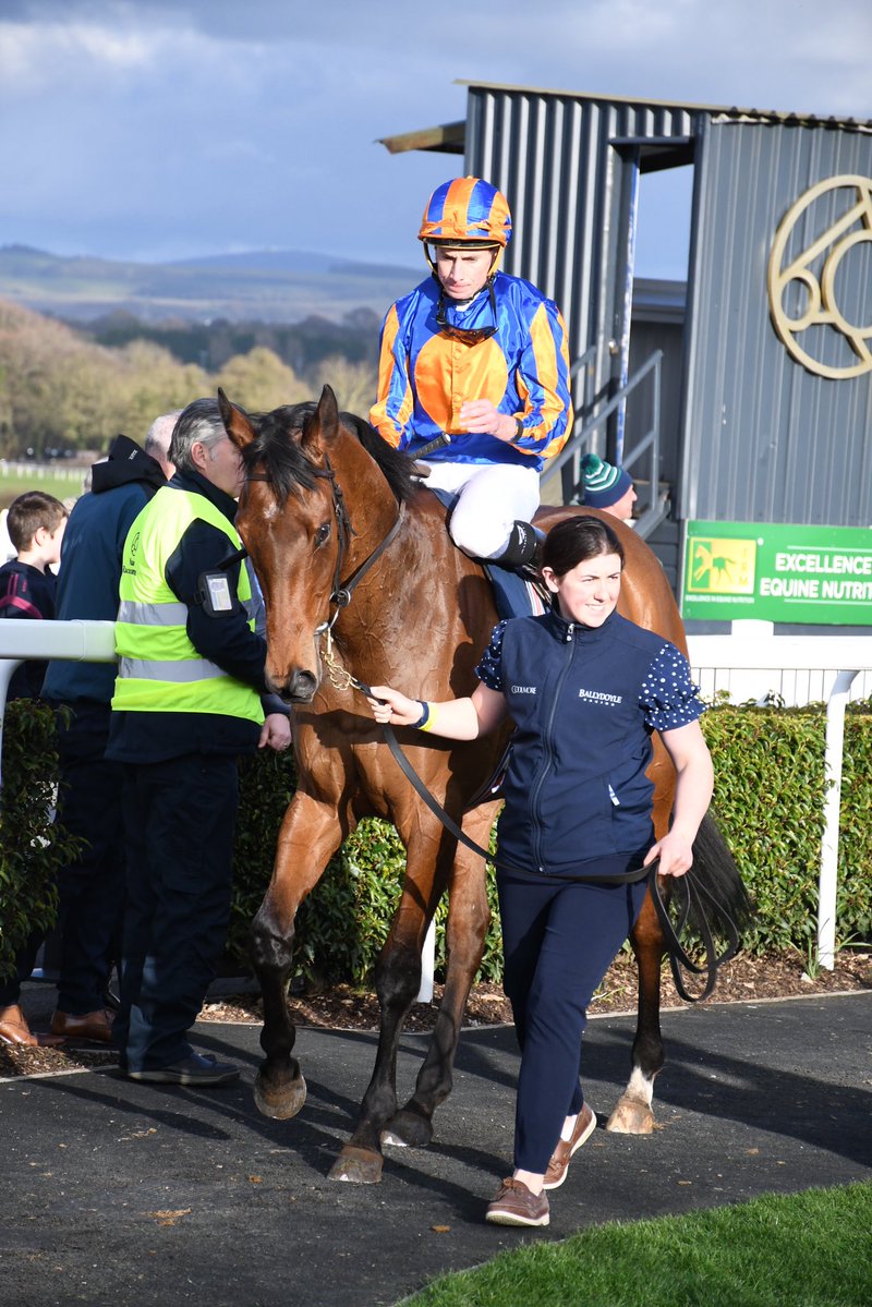 PCequinephotography tweet media