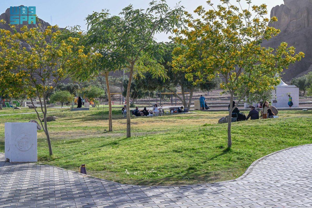 واس جودة الحياة tweet media