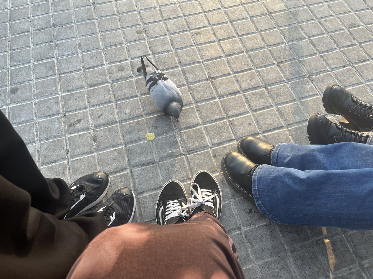 abril🦇𖦹₊ tweet media